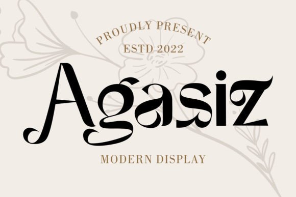 Agasiz Modern Display Font for Elegant Business Branding